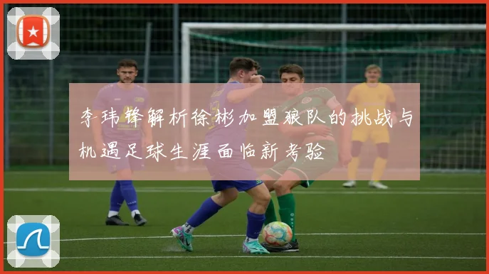 李玮锋解析徐彬加盟狼队的挑战与机遇足球生涯面临新考验